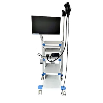 SY-P033 больничный цифровой ветеринарный видеоэндоскоп медицинский гастроскоп для крупных животных с для клиники