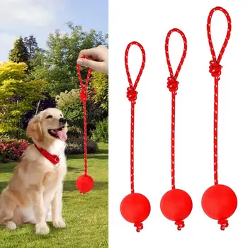 Игрушка для собак с мячом и веревкой, Резиновые Интерактивные шарики, Эластичные Твердые Резиновые Шарики для собак, Жевательные игрушки для средних, Крупных и Маленьких собак, Резиновая Собака